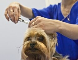 индивидуальный подход